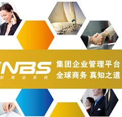 集團(tuán)企業(yè)管理-NBS