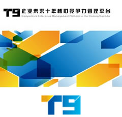大型企業(yè)管理-T9